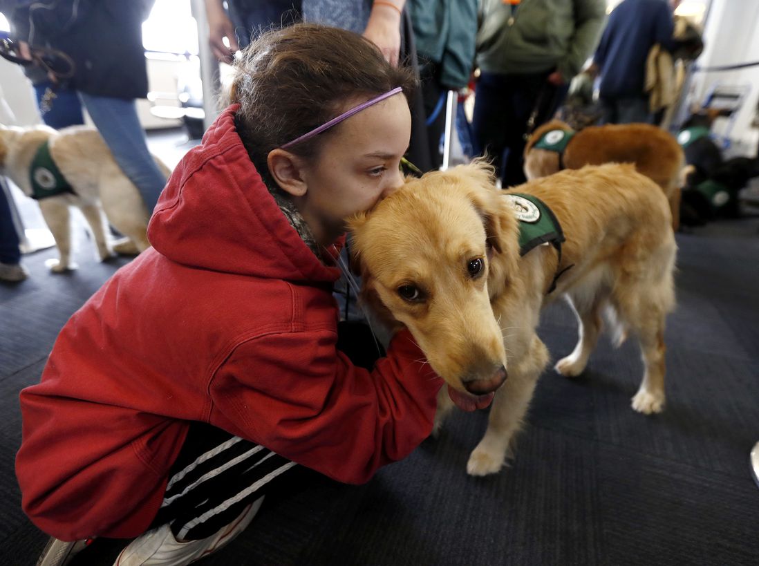 Norah Colquhoun, of Yardville, N.J., hugs a service dog named Elsa while waiting to board a plane at Newark Liberty International Airport while taking part of a training exercise, Saturday, April 1, 2017 (AP)